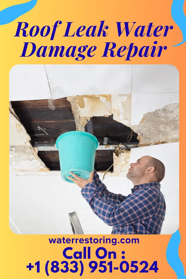 Roof Leak Water Damage Repair in Las Lomas, CA